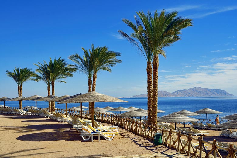 Hurghada or Sharm el Sheikh: which is better for a Red Sea escape?