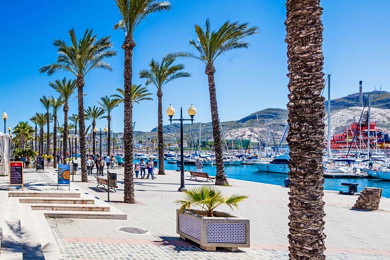 The busy waterfront at the Port of Cartagena