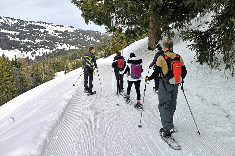 Snowshoeing in the mountains around Villars