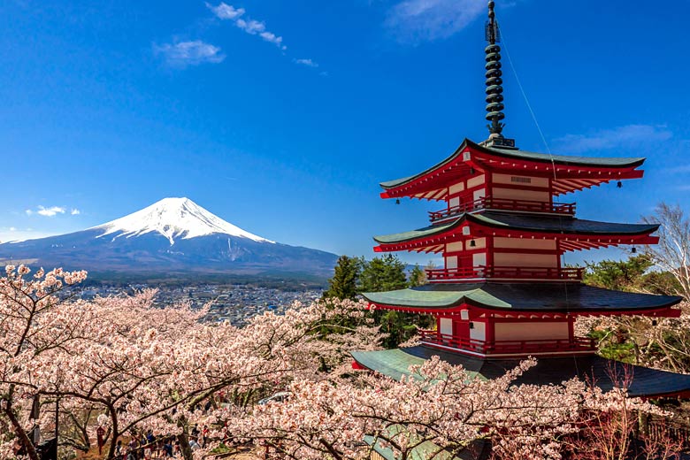 Spring blossom at the Chureito Pagoda, Fujiyoshida - © SP56 - Adobe Stock Image