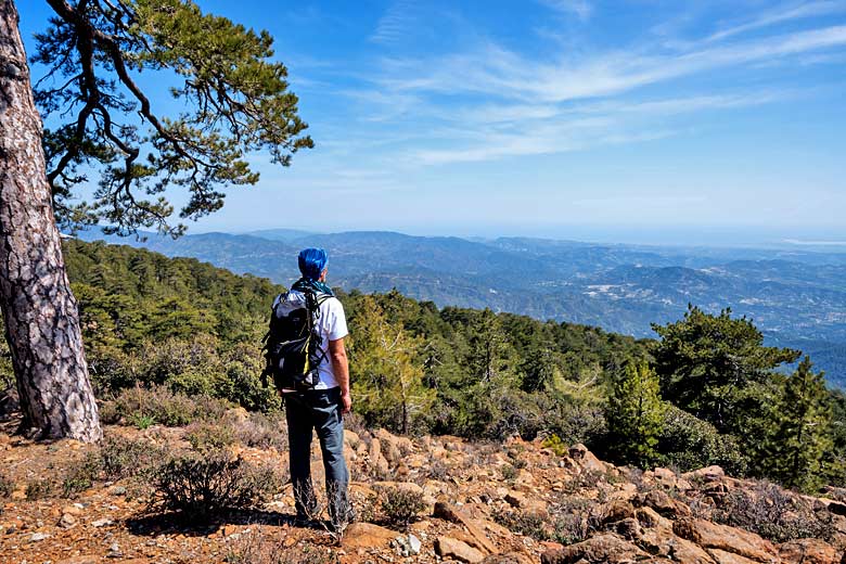 In the Troodos Mountains of Cyprus