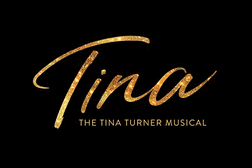 Tina Turner The Musical